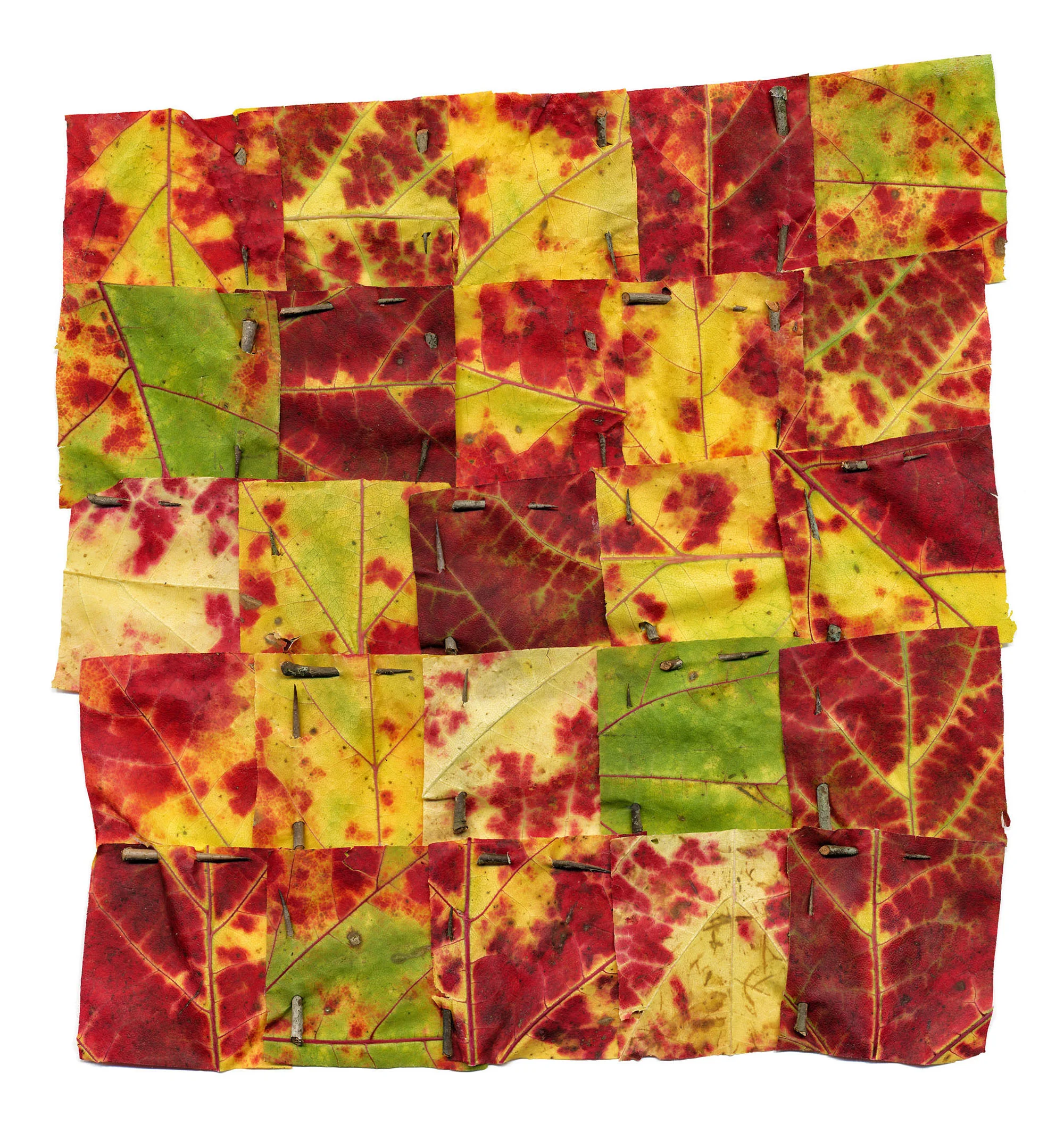 Maple Quilt #1
