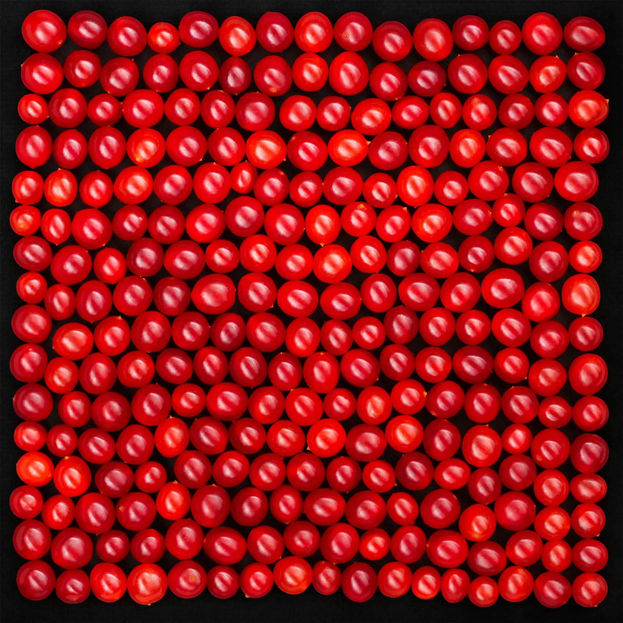 Cranberries