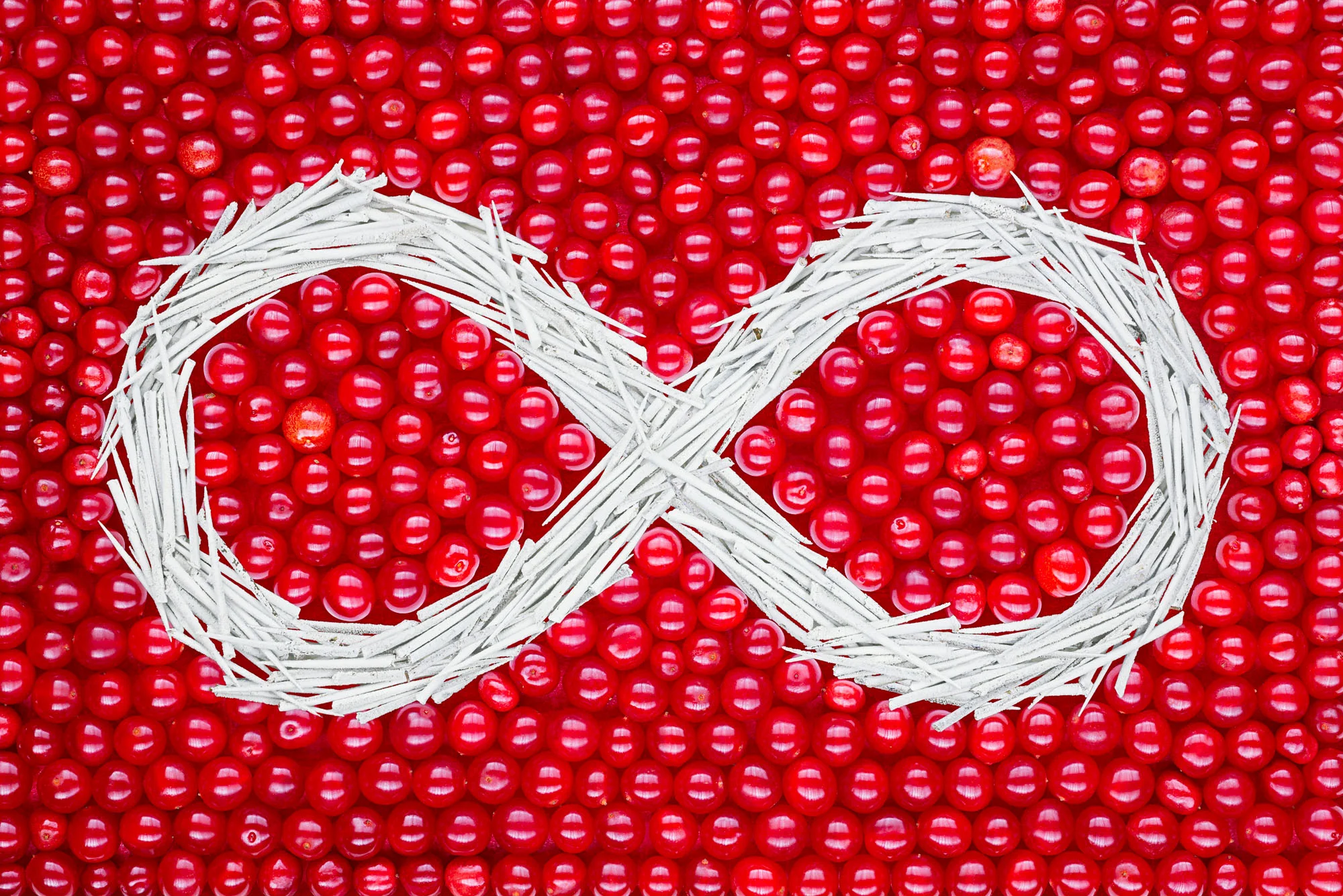Métis Hunting Flag, 2017. Canneberges et aubépines agencées et photographiées. Tirage d’archive. 47" X 32". (La version rouge et blanche du drapeau métis était à l’époque hissée durant les expéditions de chasse).