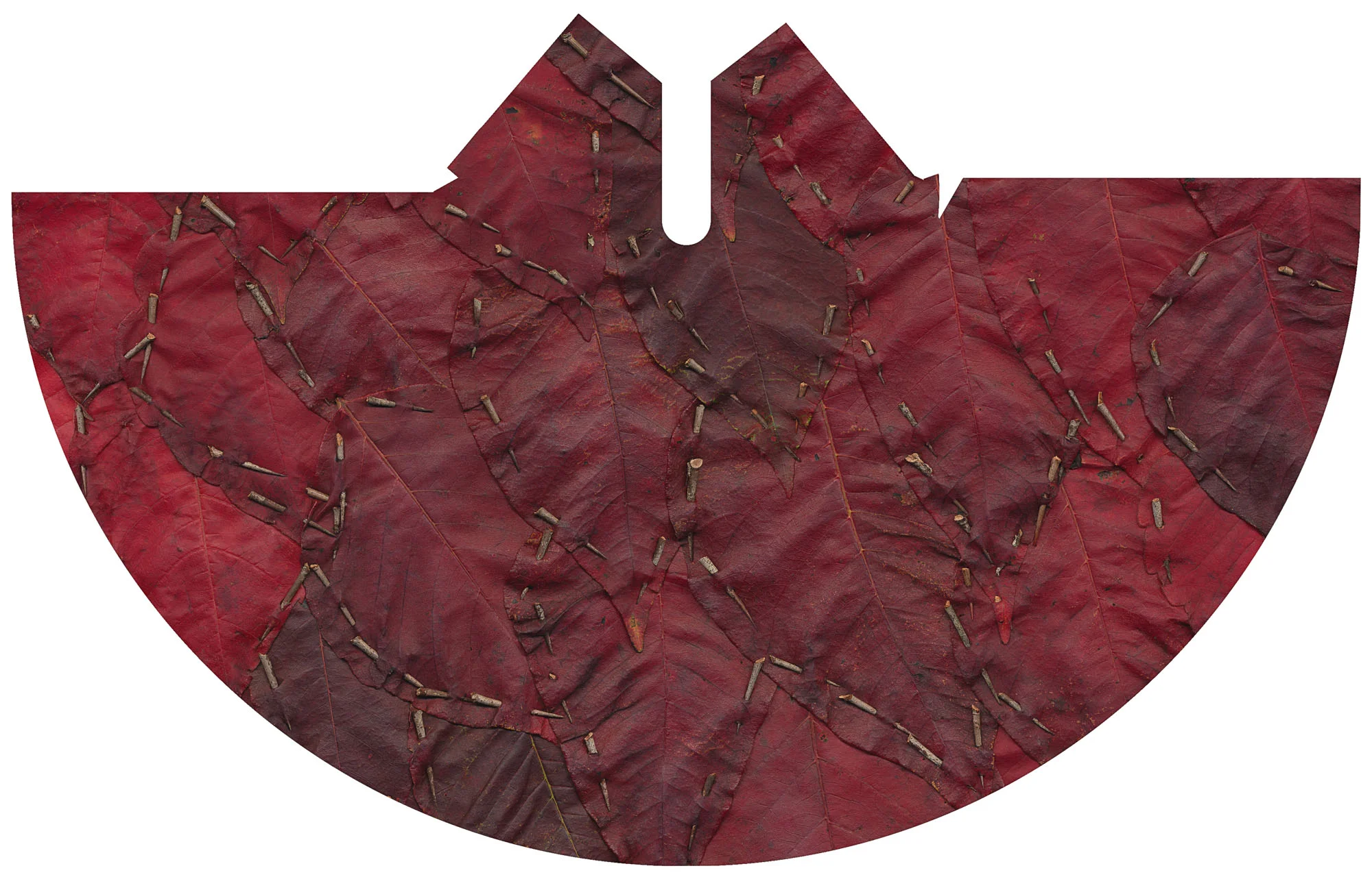 Red Leaf and Hawthorn Tipi Cover, 2017. Photograph. Leaves and hawthorns. Archival print 76" X 43".