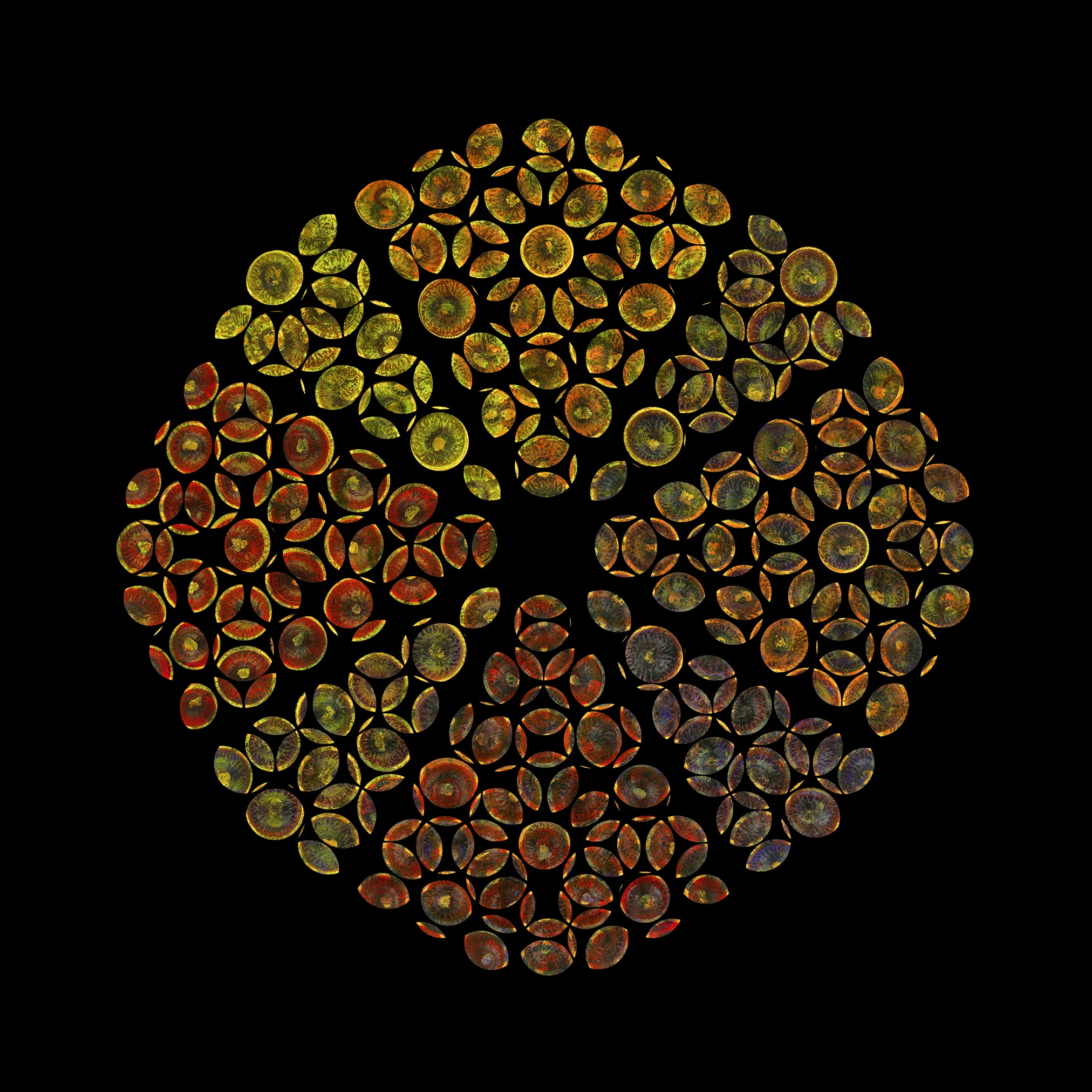 Acorn Cap Circle