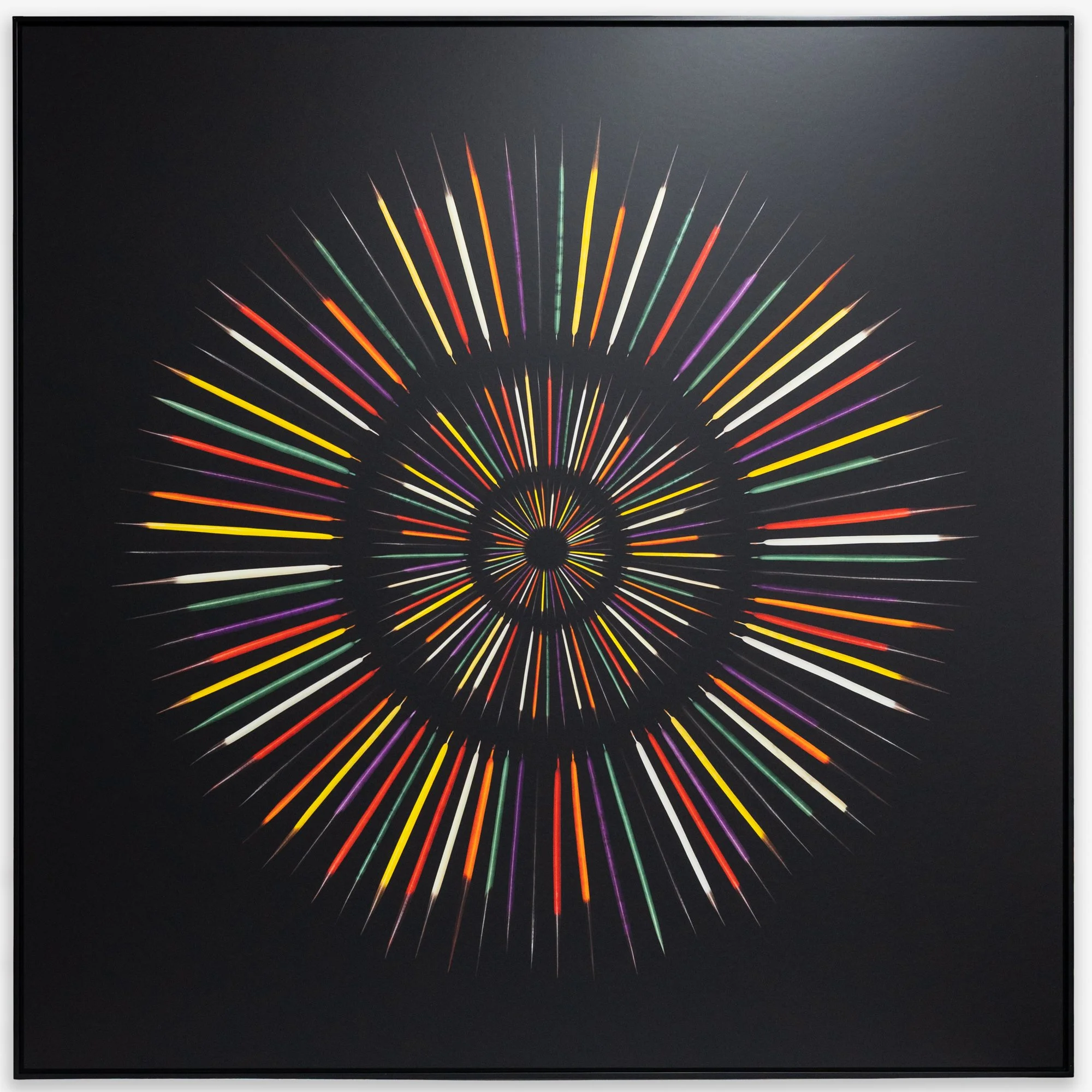   For Clémence , 2026. Collage numérique composé de photographies individuelles de piquants de porc-épic. Encre pigmentée sur aluminium avec couche protectrice. Cadre en érable.  60” X 60” 