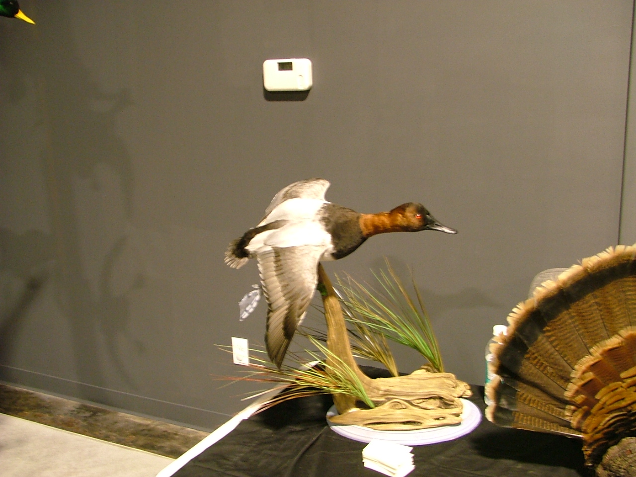 DSCF3996.JPG