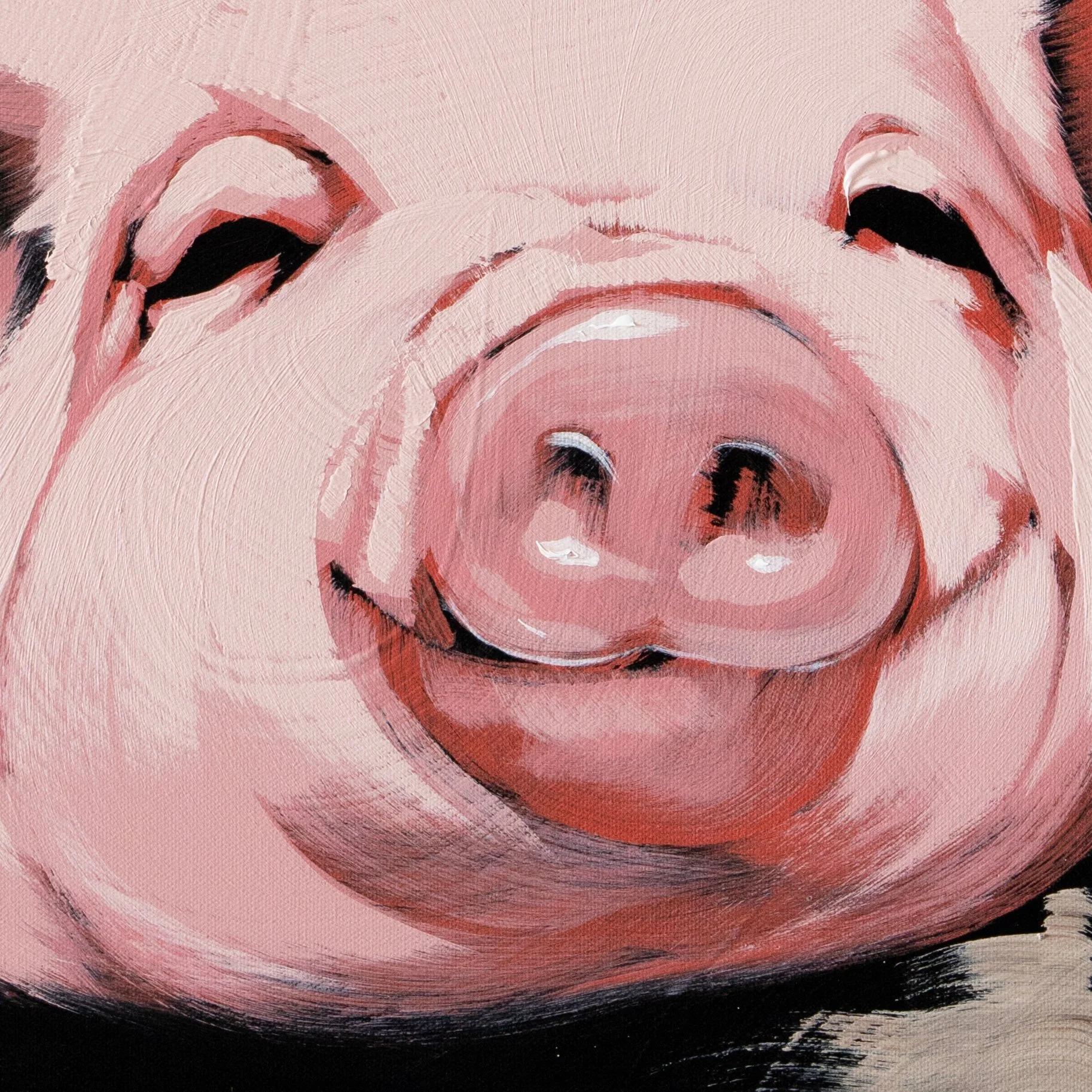 Modern animal portrait of a pig resting its front legs on a horizontal beam cropped in on the face by Josh Brown.
