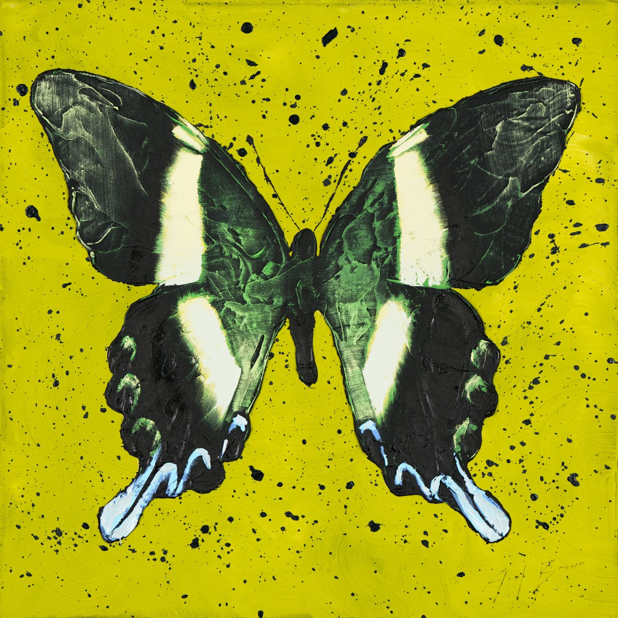 Peacock butterfly painting in greens, blacks, and yellows by New York City based painter Josh Brown against a colorful speckled background.