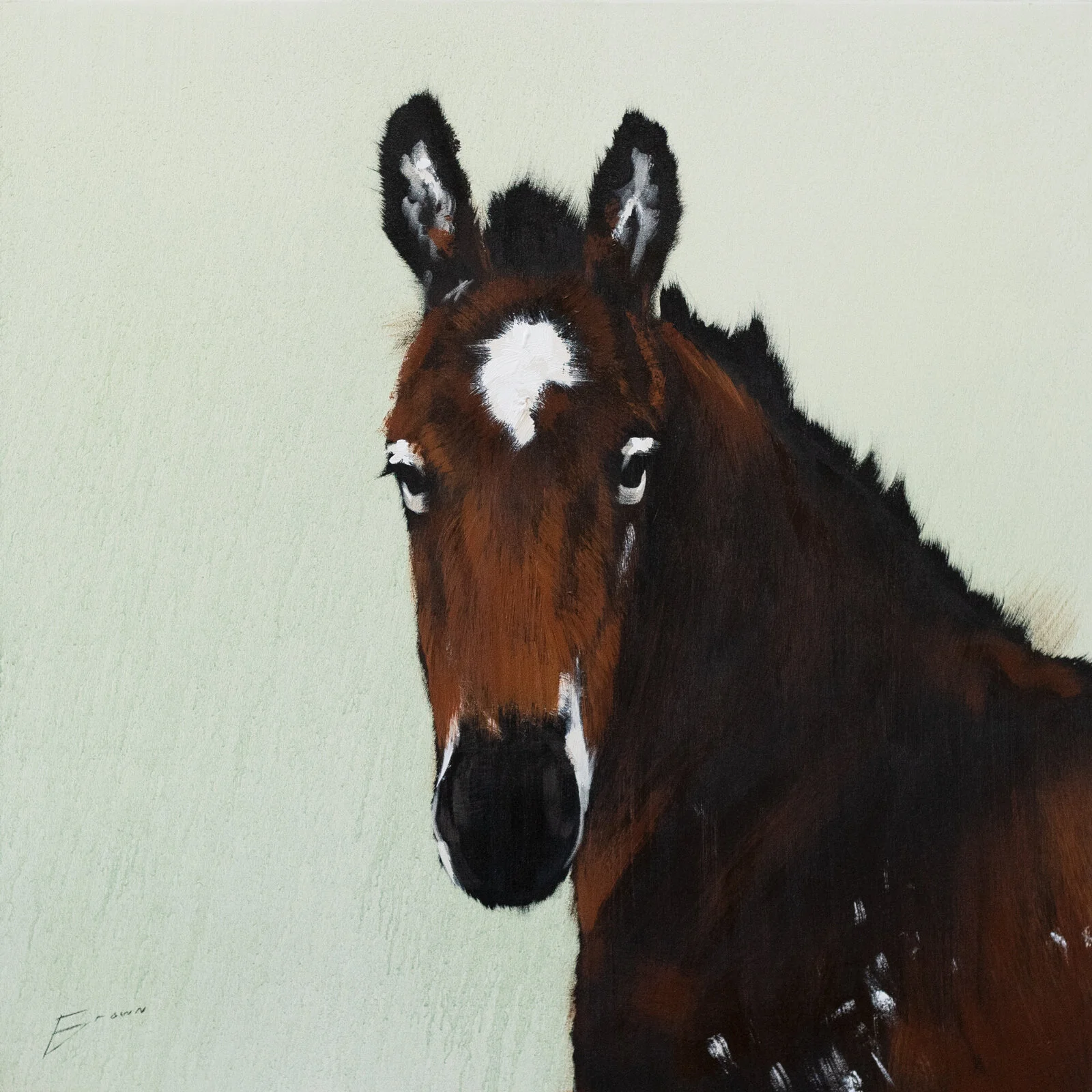 Brown_RedHorse_40x40_2800.JPG