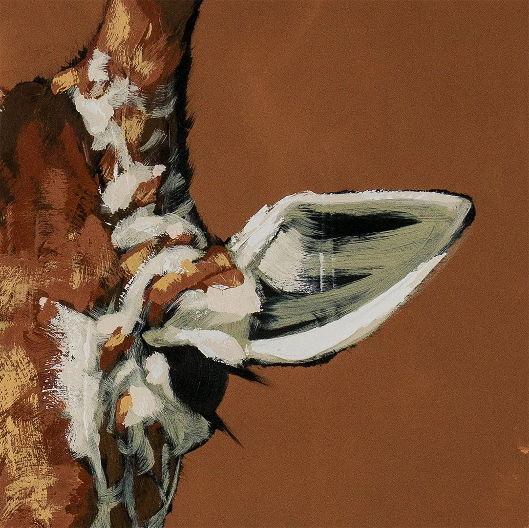Detail crop focusing on the giraffe’s eyes and ears in modern figurative wildlife art by Josh Brown.