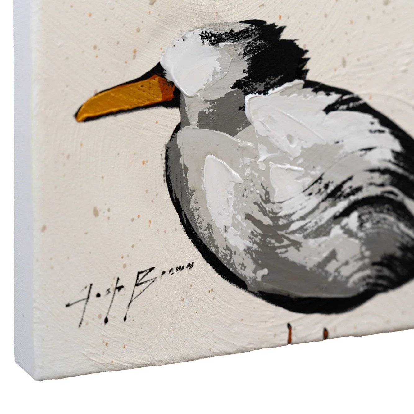 Modern acrylic artwork featuring beach birds with bold brushstrokes on a neutral background by New York City based artist Josh Brown featuring one cropped bird and the artist's signature.