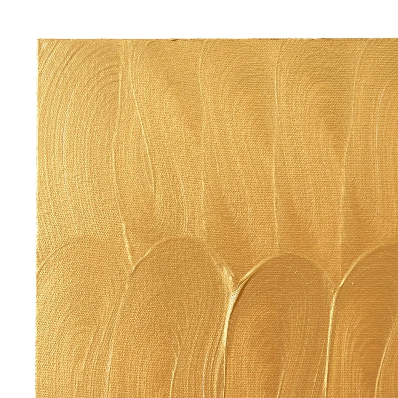 Detail crop highlighting textured ochre paint and subtle palette-knife marks in a modern animal artwork.