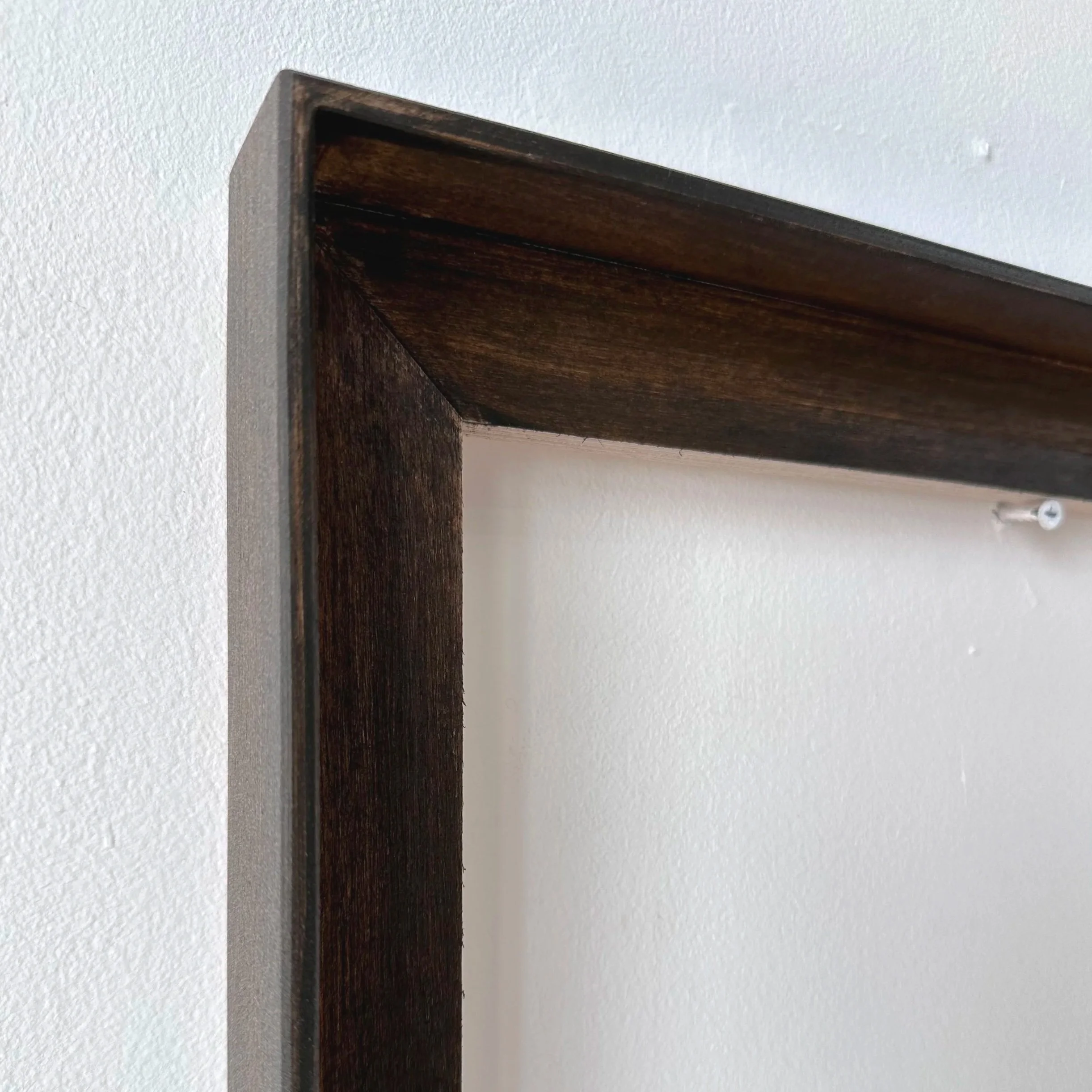 dark+frame+detail.jpg (Copy)