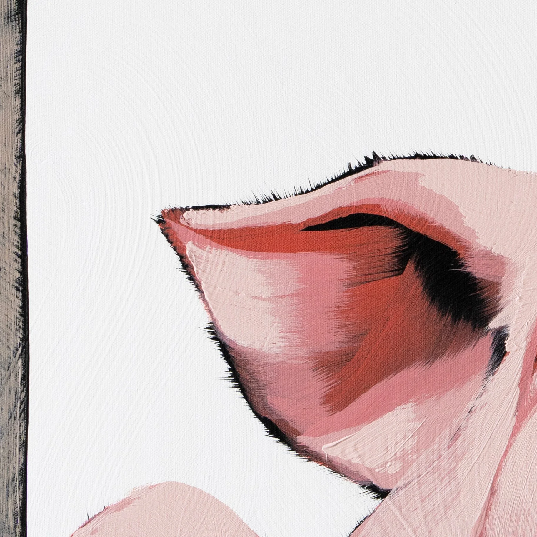 Expressive pig portrait emphasizing form, texture, and soft pink tones cropped in on the ears by Josh Brown.