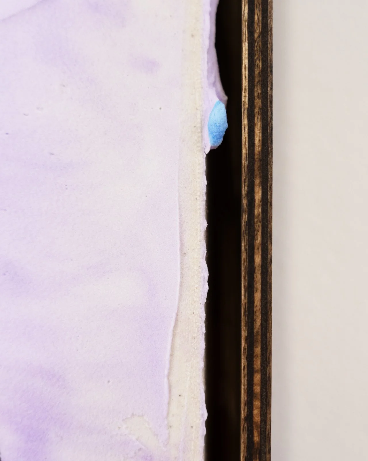 DSC03104.jpg