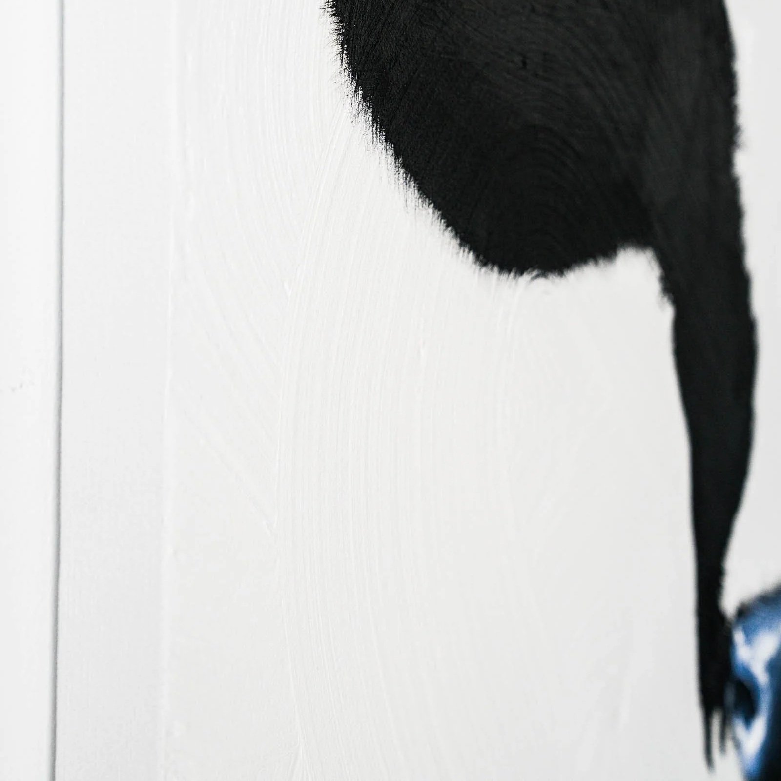 Modern animal painting depicting a calf through expressive black shapes by Josh Brown.