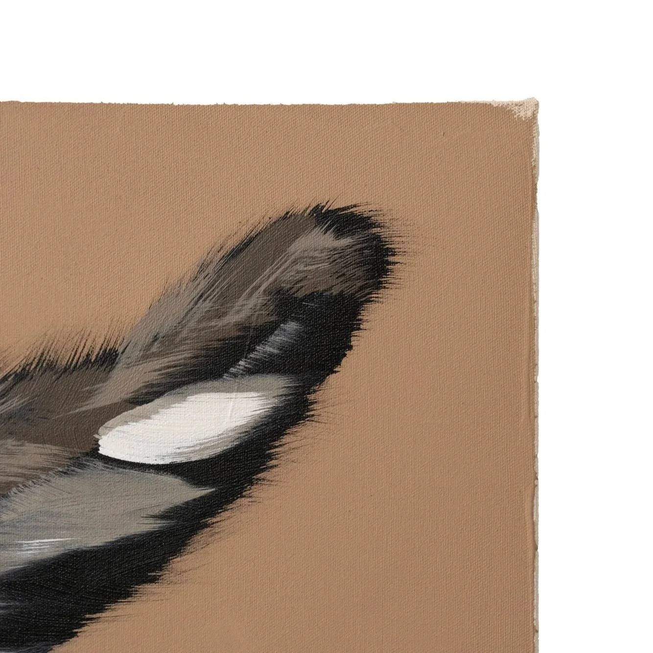 Modern animal artwork depicting a donkey on a flat terracotta-colored field showing the fuzzy donkey ear by Josh Brown.