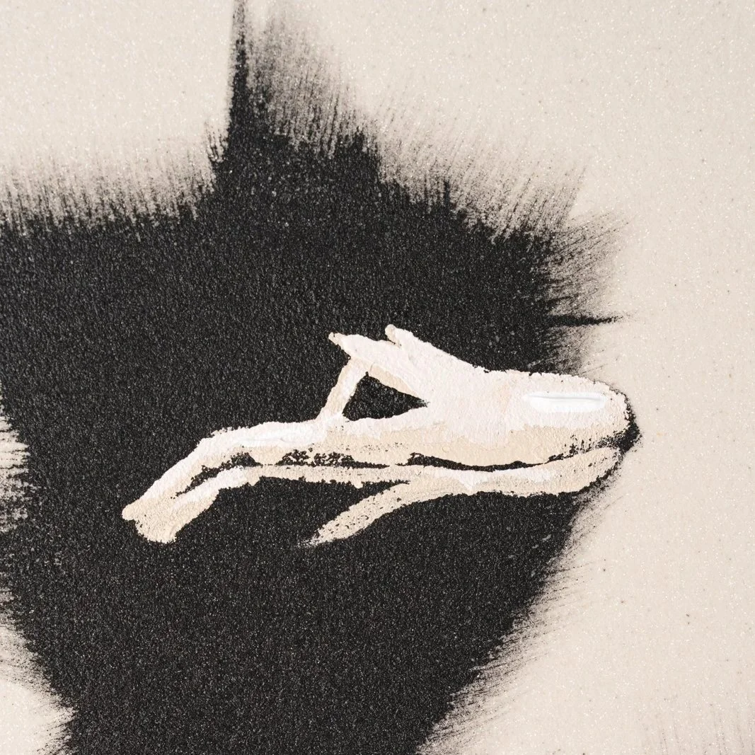 Close-up of feathered black brushwork of an ostrich head with subtle surface texture in a minimalist animal painting by Josh Brown.