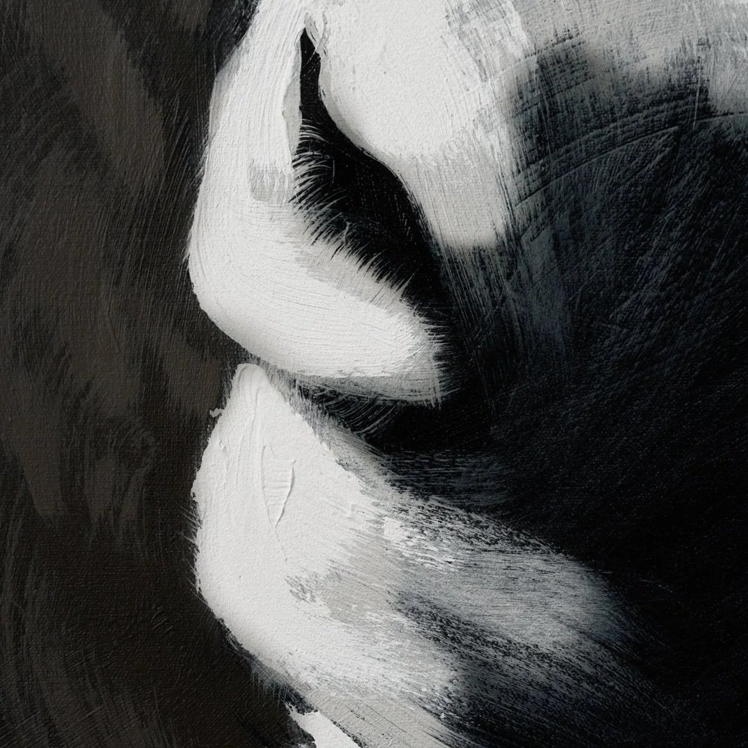 Modern animal portrait depicting a donkey emerging from a rustic wooden frame cropped on the snout of the donkey by Josh Brown.