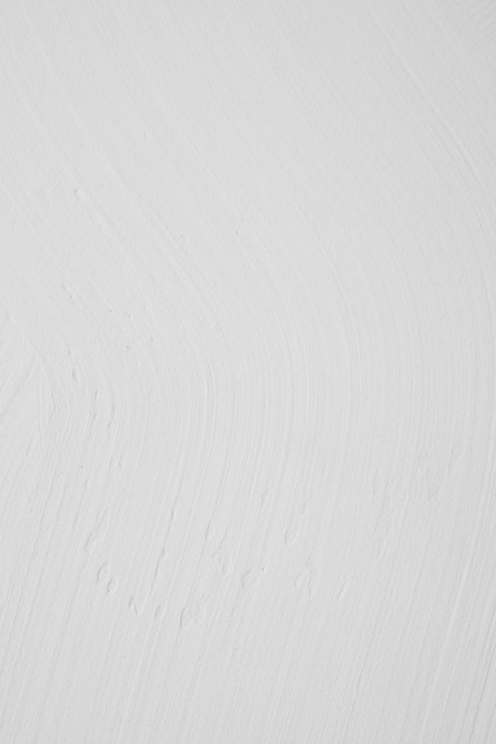 Minimal animal portrait focused on texture, contrast, and implied form focused on the white textured background.