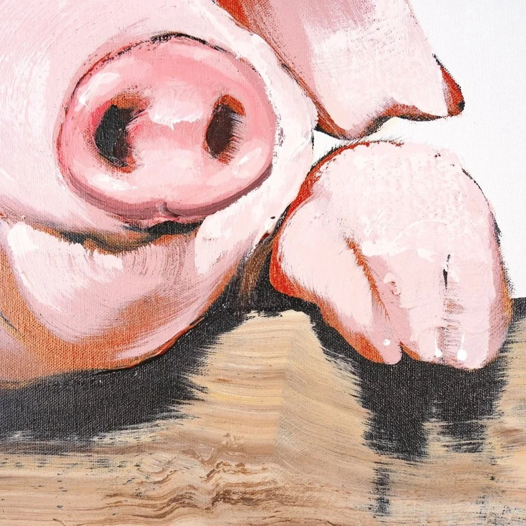 Modern animal portrait depicting a pink pig leaning casually over a rustic fence focused on the face by Josh Brown.