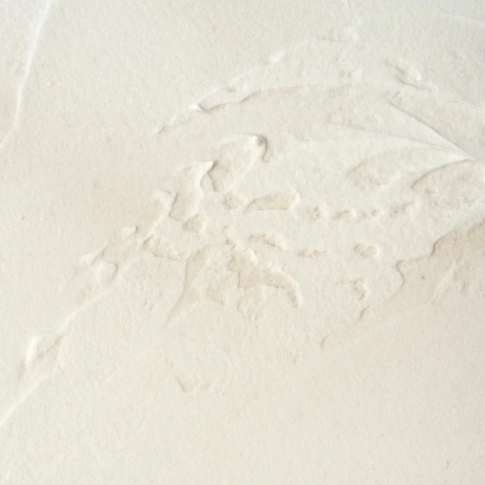Modern animal portrait depicting a pair of donkeys against a soft neutral background by contemporary painter Josh Brown.