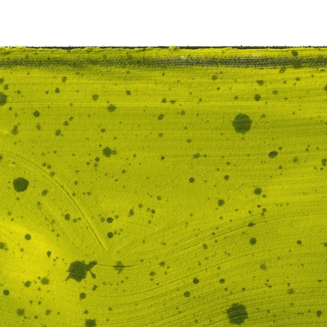 Detail of black butterfly wings contrasted against bright green paint in a contemporary fine art piece by Josh Brown.