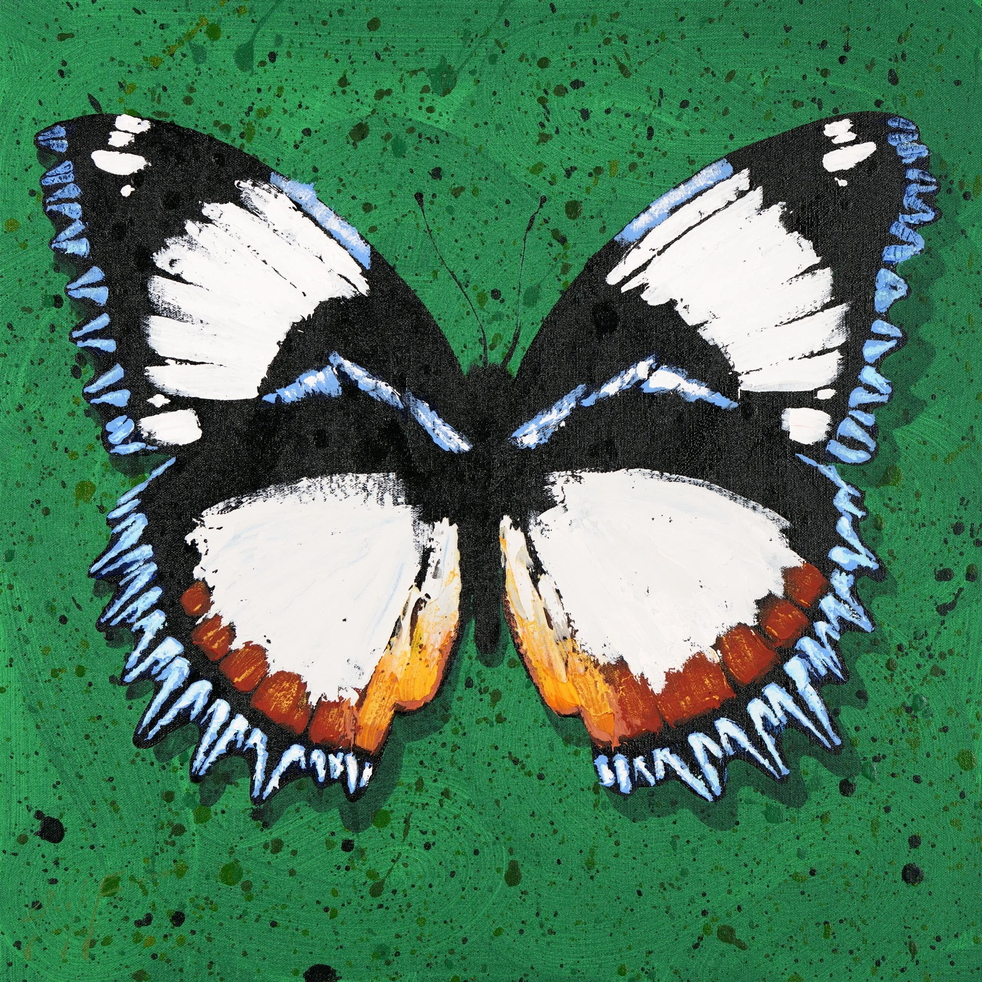 An acrylic painting of a Madagascar Diadem butterfly in blues, blacks, oranges, and greens by New York City based painter Josh Brown.