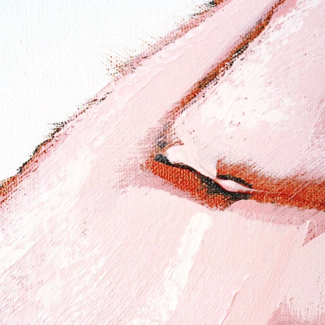 Detail view of a pig portrait with soft pink tones of the ear and body by Josh Brown.