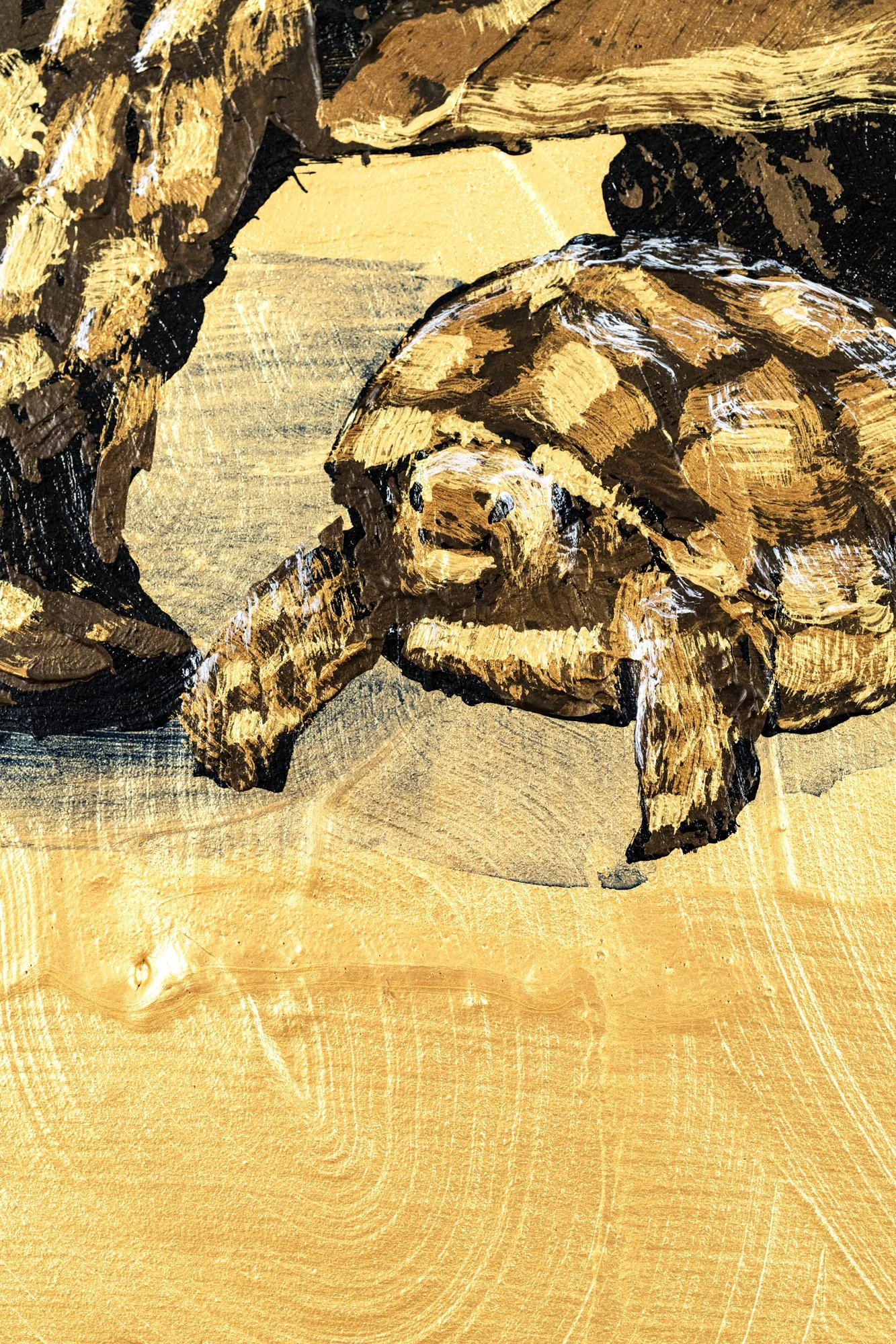 Sulcata-and-Hatchling_19x19_WEB-7.jpg