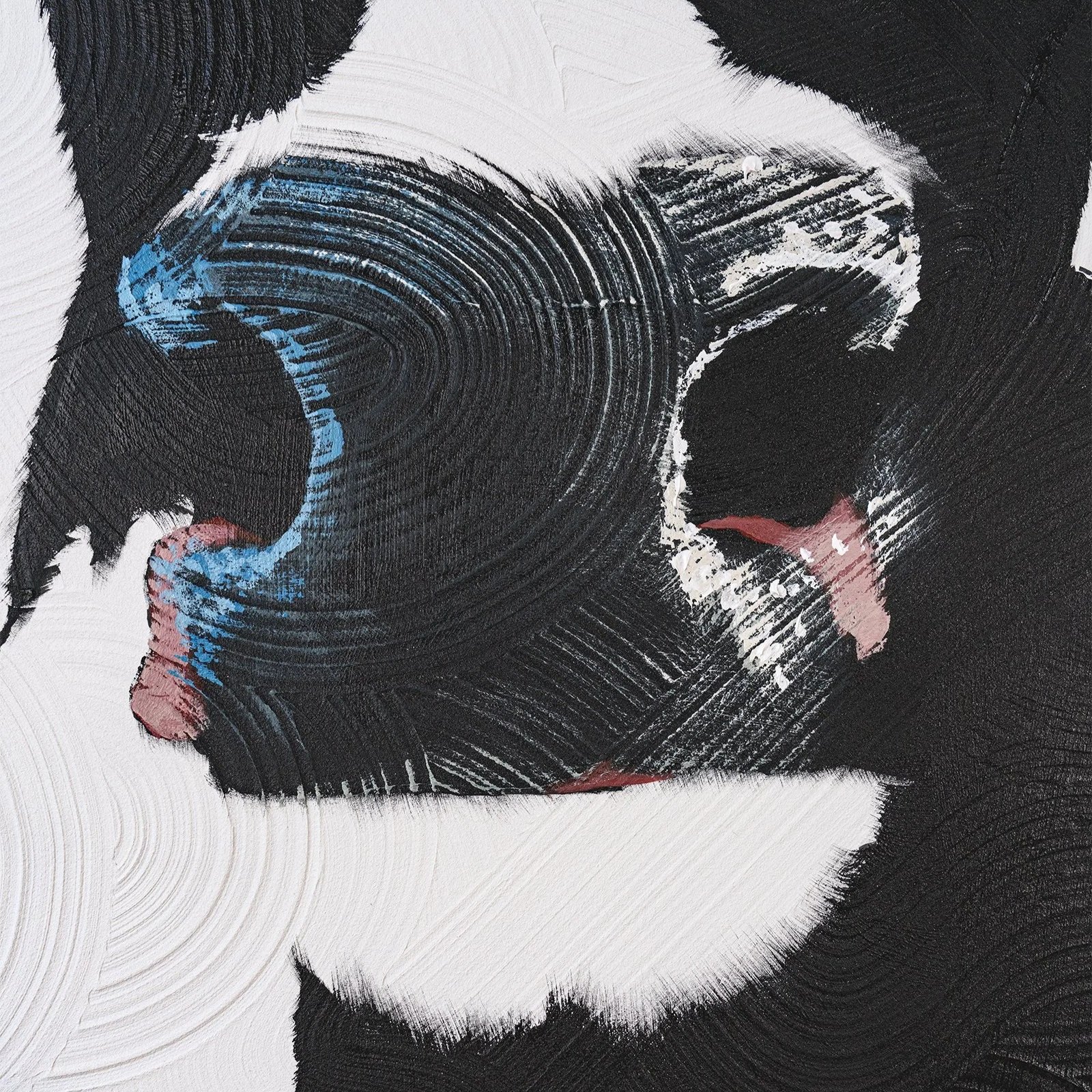 Abstracted cow portrait with thick black paint against a white, swirling acrylic surface by Josh Brown.