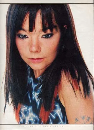 Bjork in B.Earley pin print, Interview Magazine (1995)