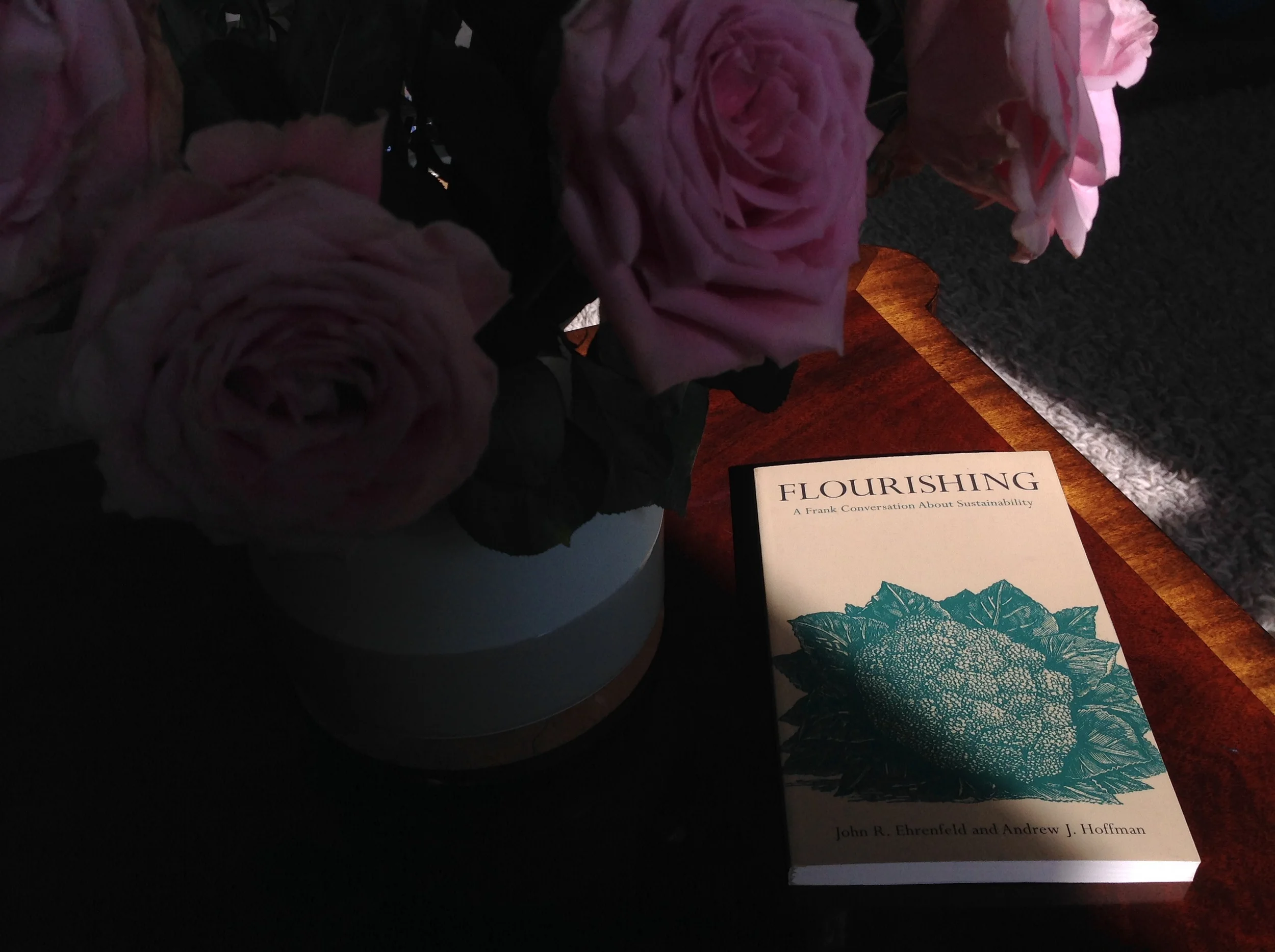 'Flourishing: A Frank Conversation About Sustainability' by John Ehrenfeld and Andrew Hoffman (Stanford, 2013)