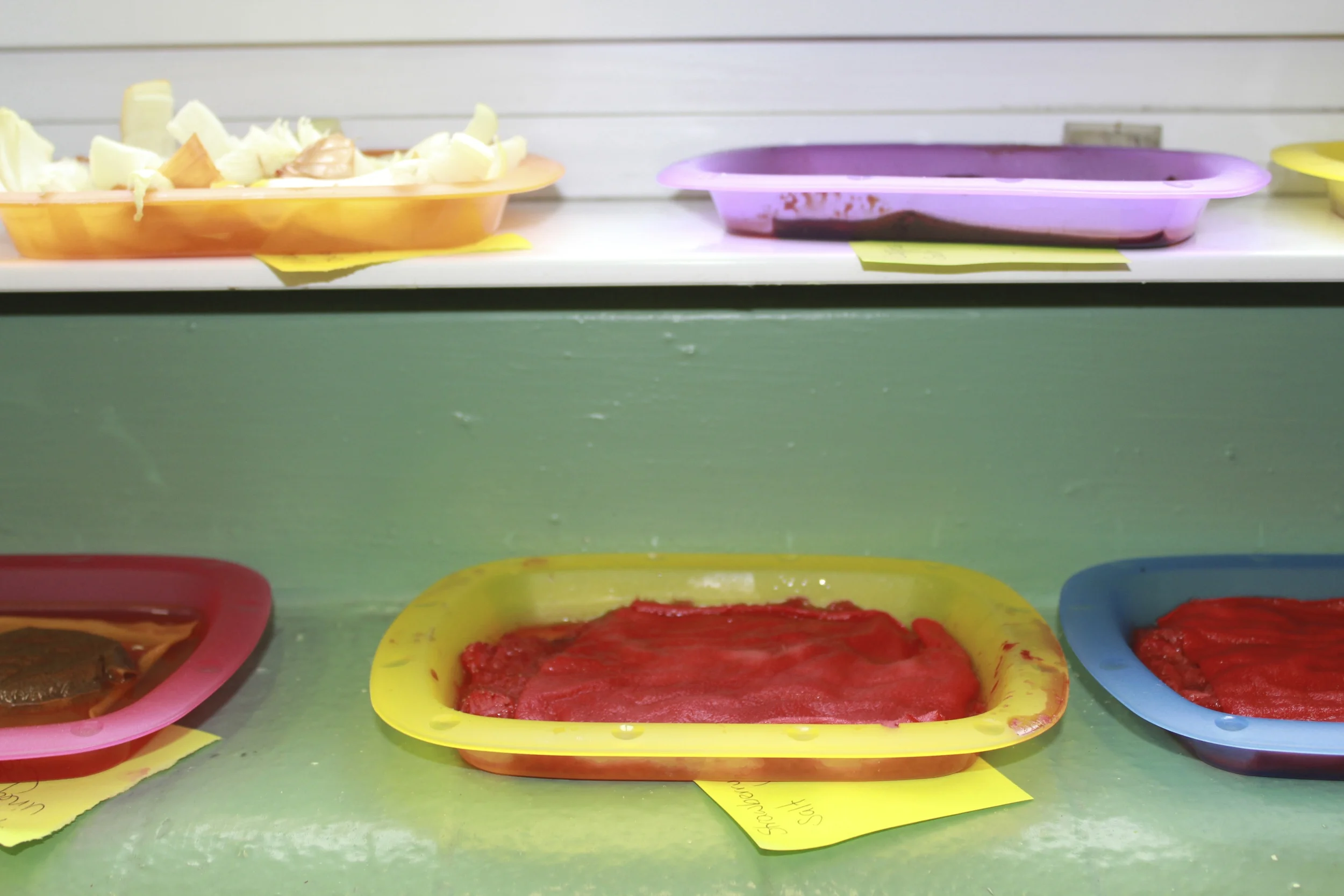 Natural dyeing with plant and food matter with Miss Chiocca