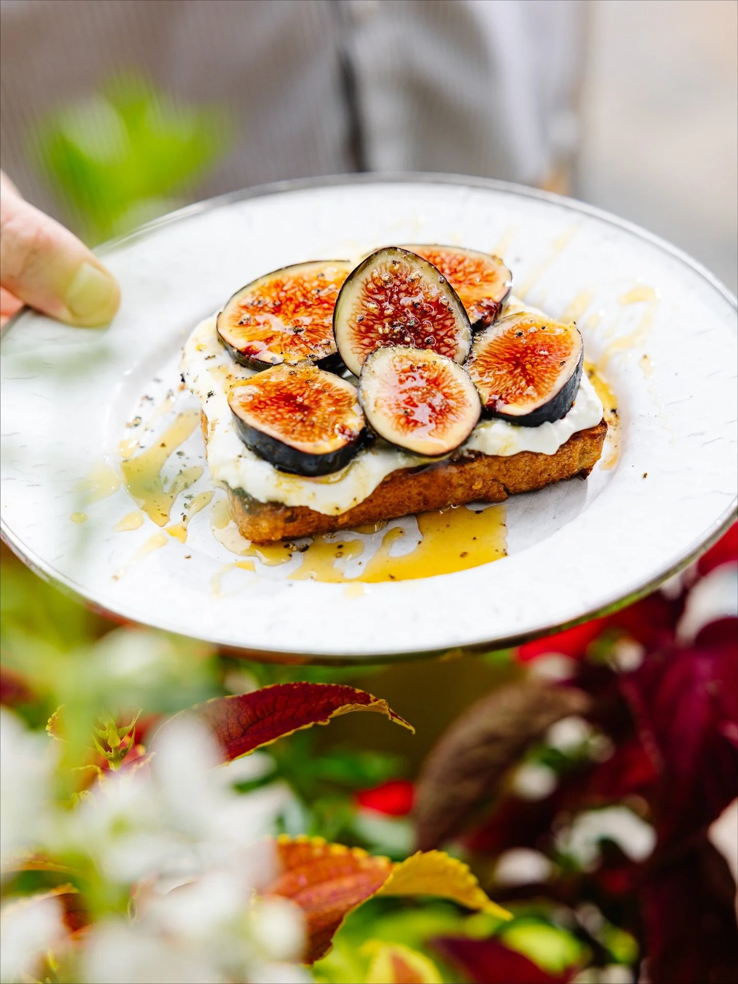 The fig + goat toast deserves a spot on the feed ❤️&zwj;🔥 IYKYK. Fig season here in Raleigh is on its way out, so get your last fix in quick. See ya tomorrow for breakfast 🫶