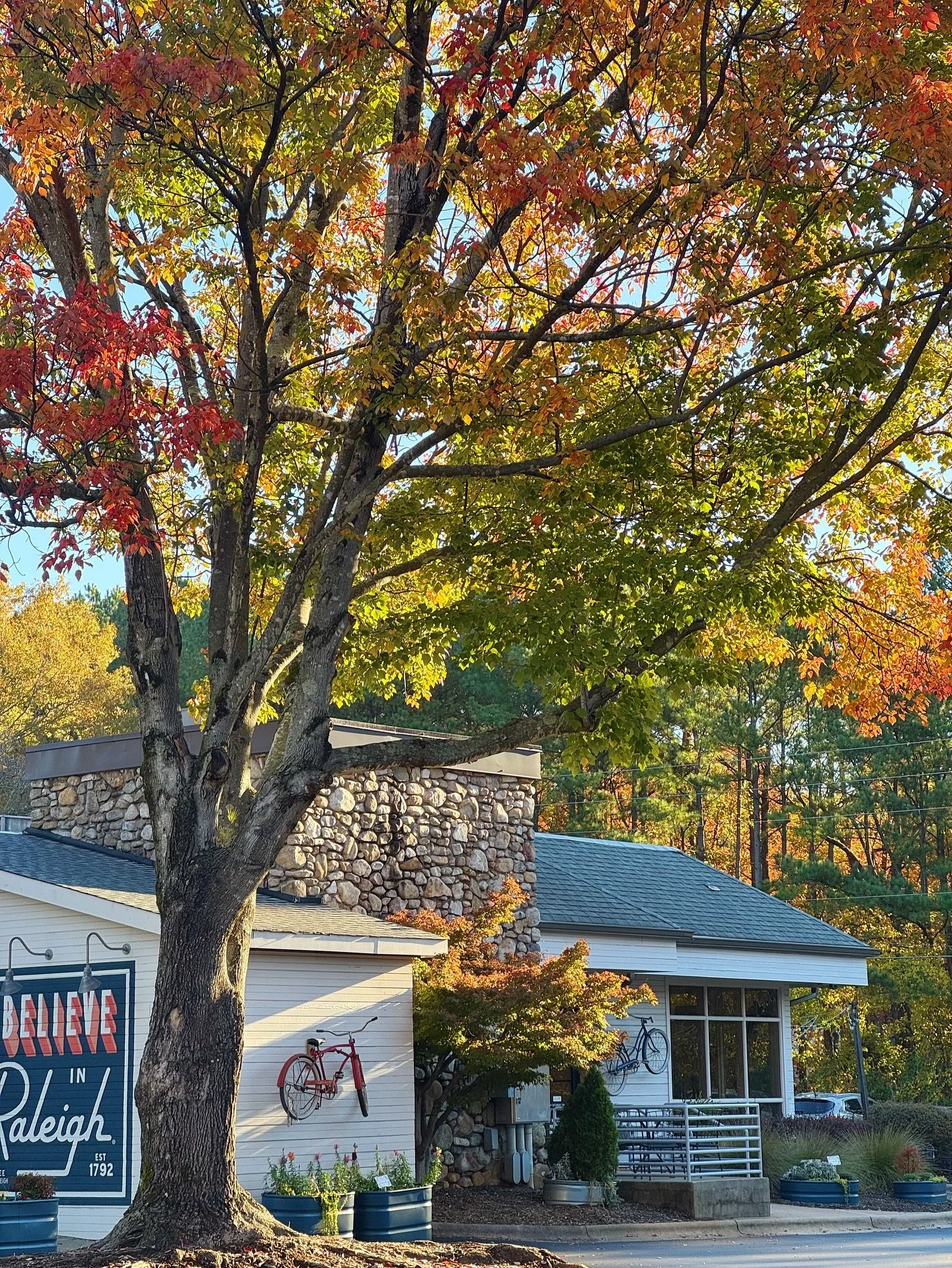 Raleigh is glowing rn!!!!! Go outside!!!!!