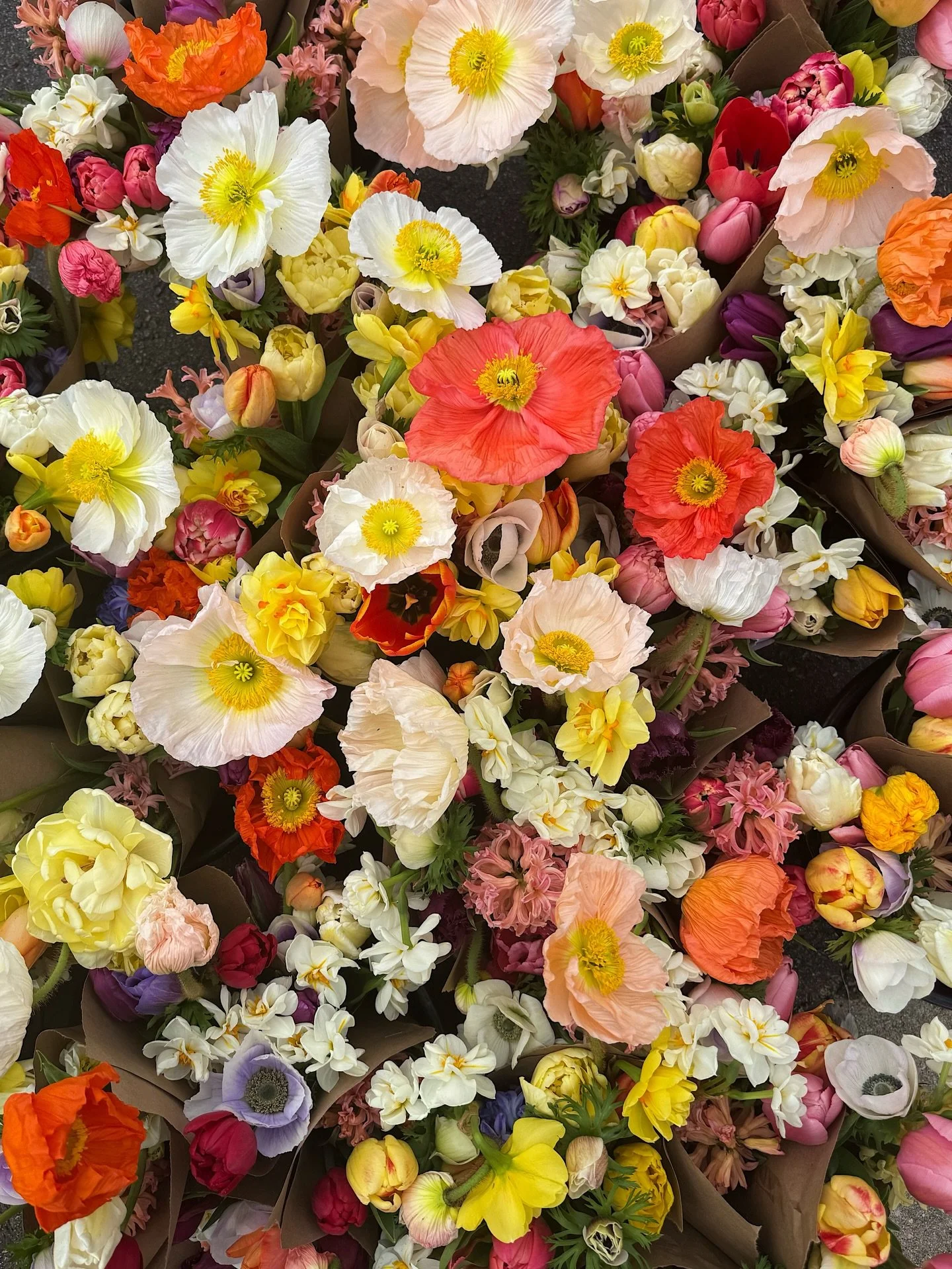 Happy first day of fresh flower season at Sola!!!!! Our dear friends at @splitacrefarm out in Rougemont, NC grow these beauts &amp; deliver fresh cut bouquets every Thursday starting back today 🤩 They arrive around 10am weekly 🌻 Snag a bouquet toda