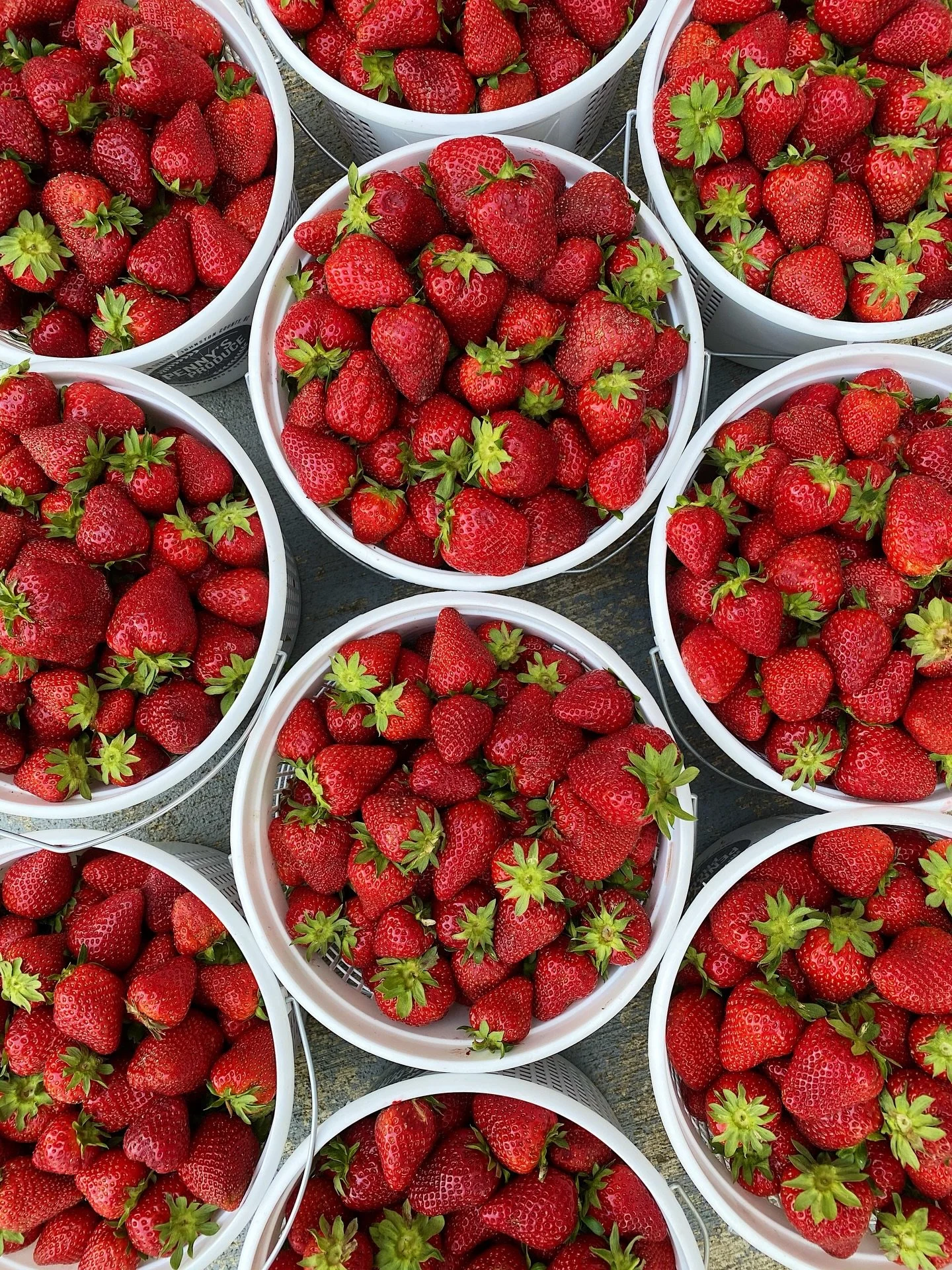 Strawberry season at Sola starts now!!!!!!!! See ya this week 🍓
