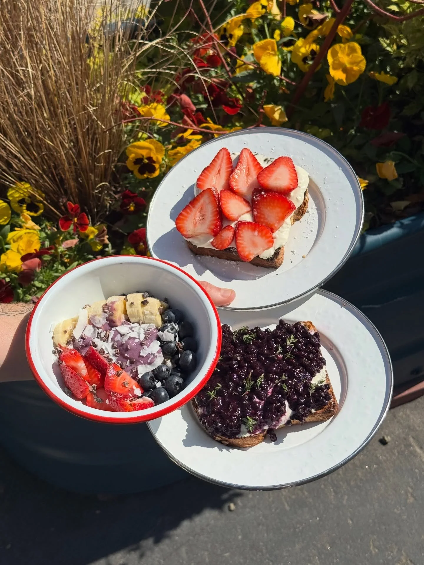 STRAWBERRY SEASON AT SOLA 🍓🥹