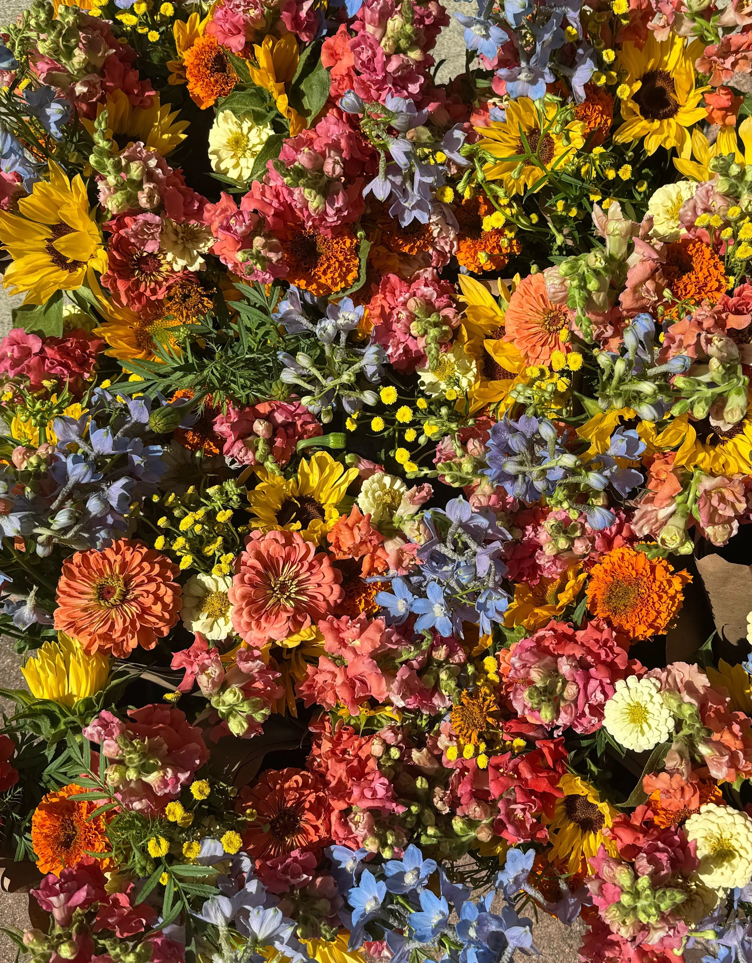 Weekly flower photo hitting the feed to bring some smiles to your Thursday ✨ So much love for @splitacrefarm for growing, gathering &amp; delivering such beauties every Thursday to bring pure joy to both our week &amp; yours 🌸