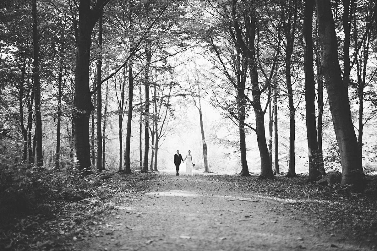 Helsingborg skog