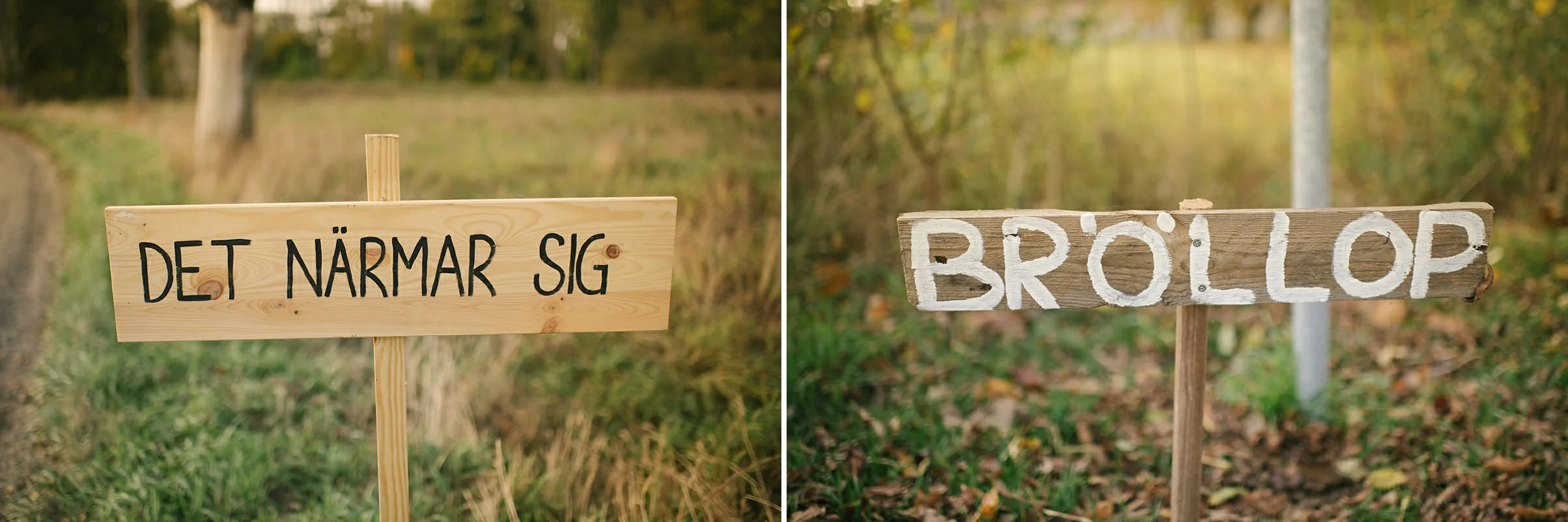 br__llopsfotograf-sk__ne-perhenning-47_br__llopsfotograf-sk__ne-perhenning-481.jpg
