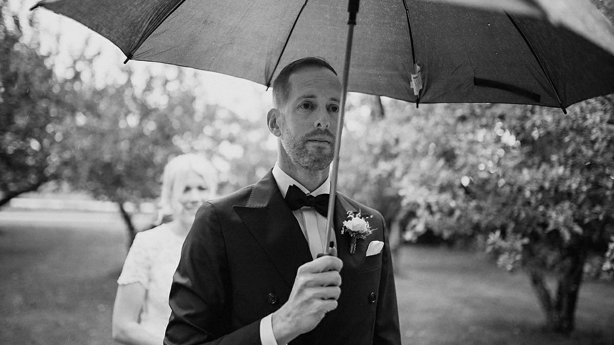 First look under an apple tree