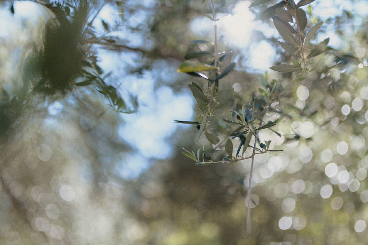 Bokeh
