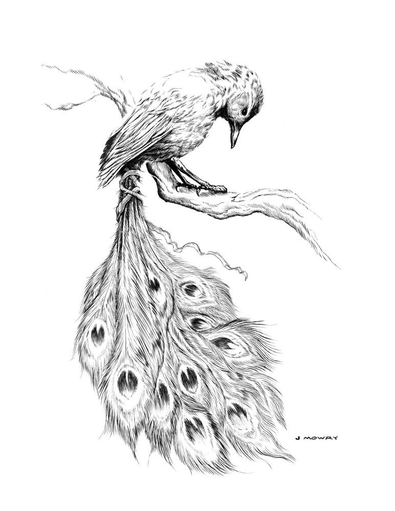 The Jay and the Peacock