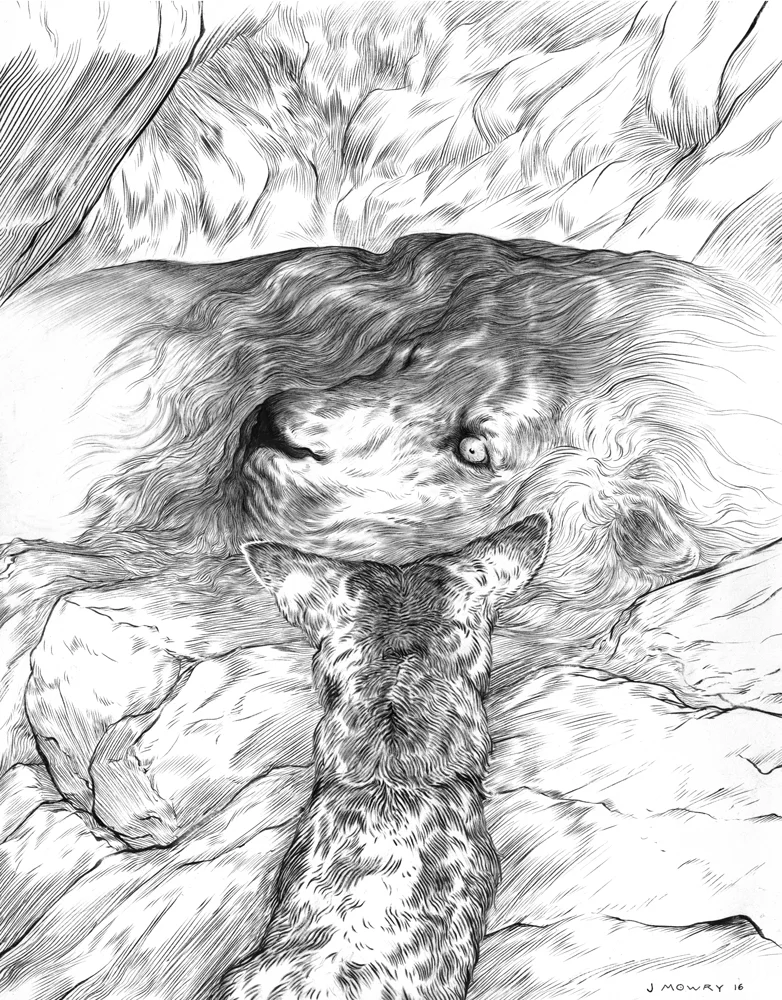 THE LION, THE FOX AND THE DEER part 1