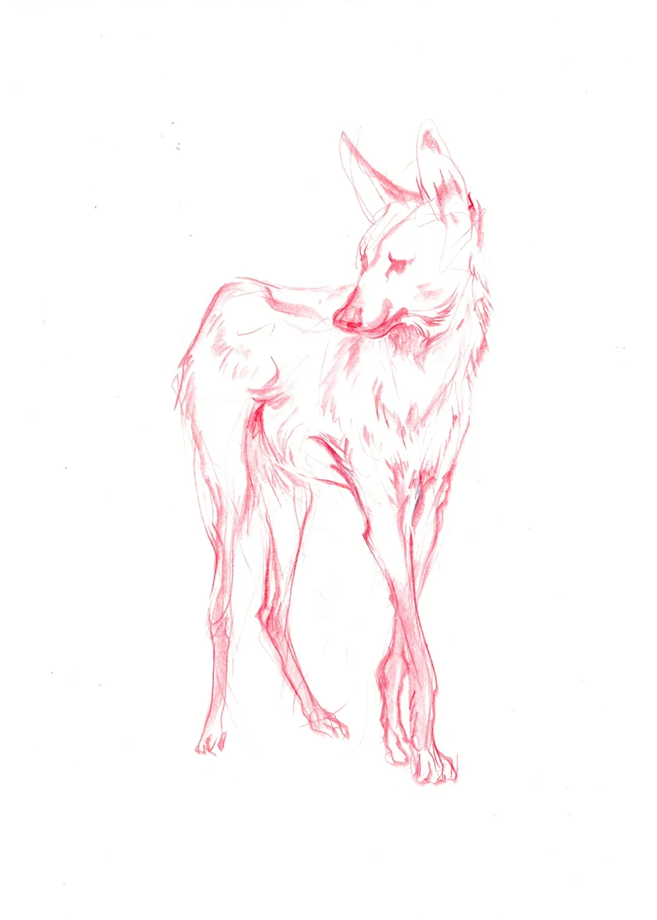 Quick sketch