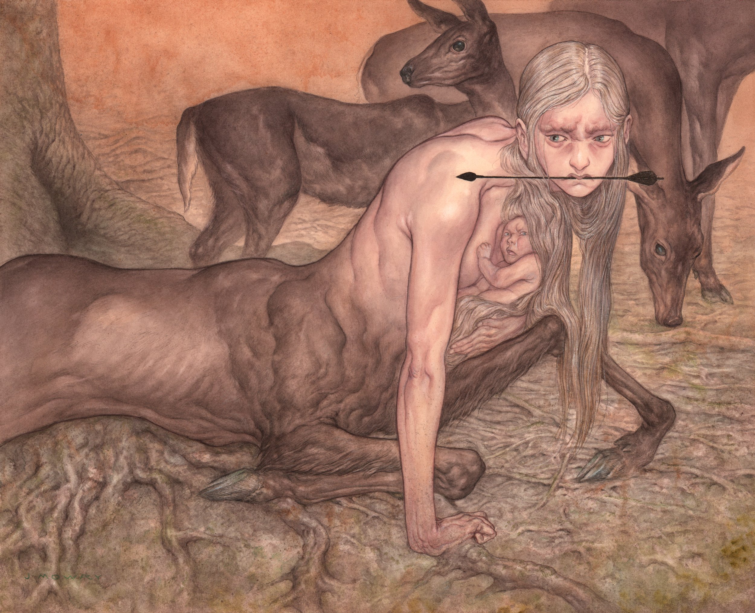 The Fawn