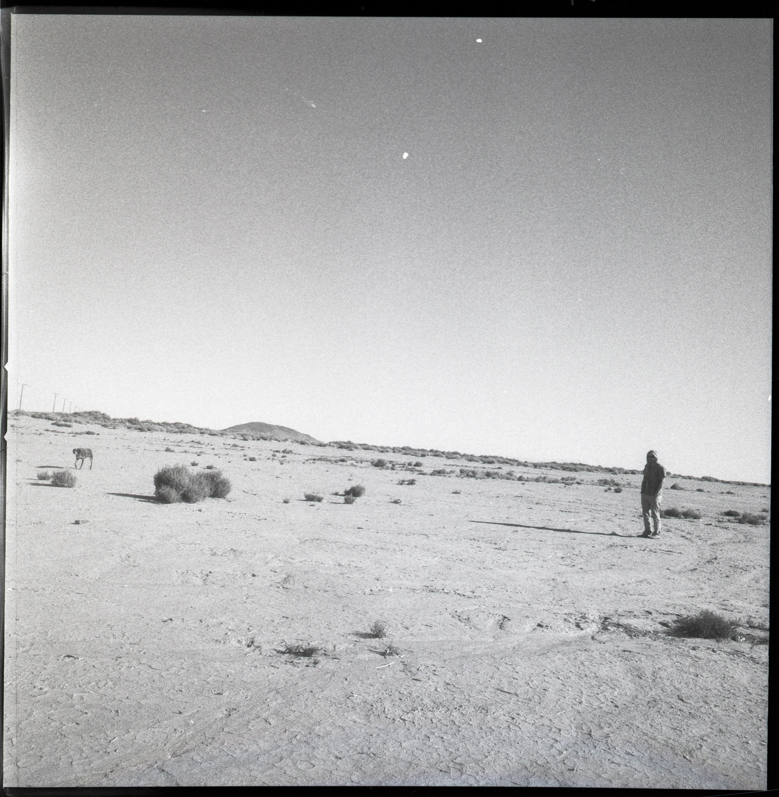 adair_076.JPG