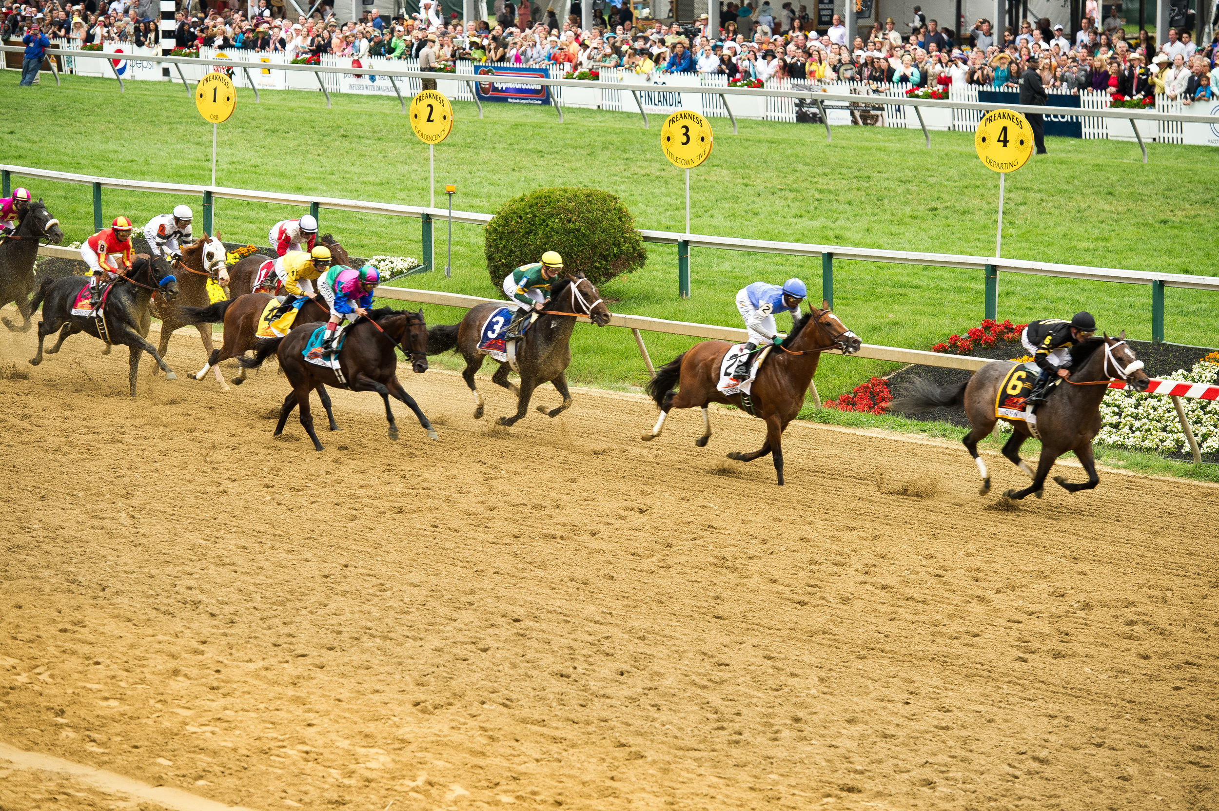  Finish of the 2013 Preakness Stakes  By Maryland GovPics (Flickr: The 138th Annual Preakness) [CC BY 2.0 (http://creativecommons.org/licenses/by/2.0)], via Wikimedia Commons 
