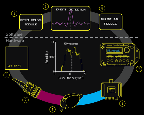 Closed-loop feedback — Open Ephys