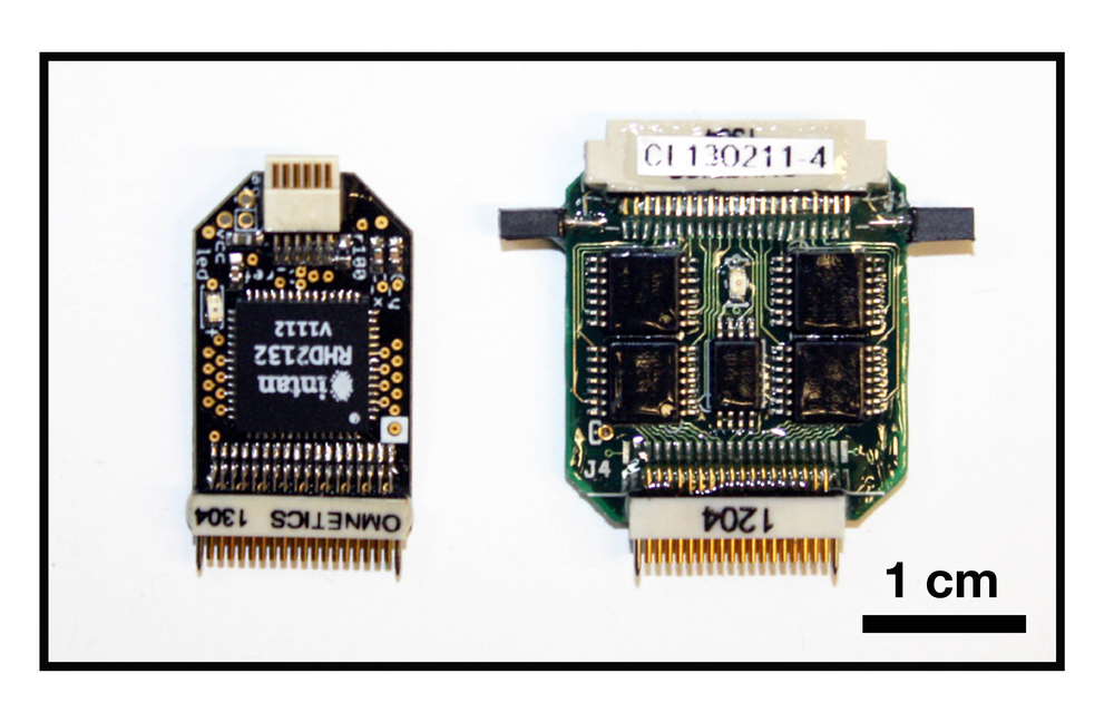 Open Ephys headstage (left) and Neuralynx headstage (right) used for the test. The Open Ephys headstage is based on the Intan RHD2132 amplifier chip. It measures 25 x 13.5 mm and weighs 1.0 g. The Neuralynx headstage is based on the Analog Devices AD8643 chips (we think). It measures 27 x 21 mm and weighs 2.3 g.