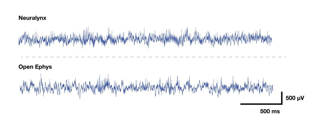 Several seconds of raw data from each system. If we can spot any difference, it's that the Neuralynx recording has slightly more high-frequency noise (but we haven't quantified this yet).